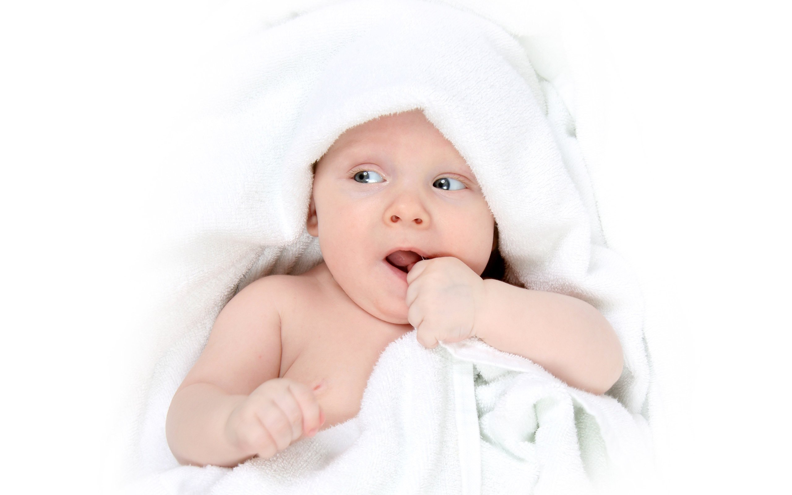 沈阳供卵代怀第二代人工受精的成功率
